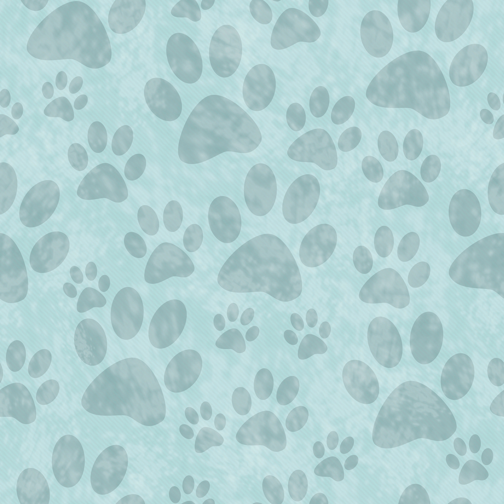 Picture for category Canine Supplies