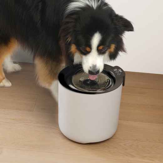 Picture of ZEUS OASIS PLUS SMART FOUNTAIN - 6L