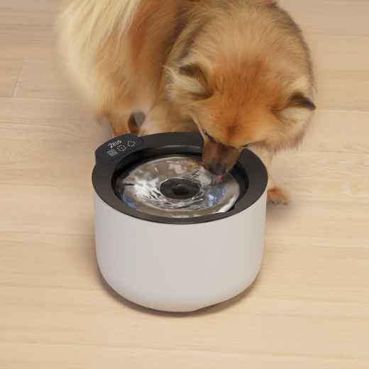 Picture of ZEUS OASIS PLUS SMART FOUNTAIN  - 3L