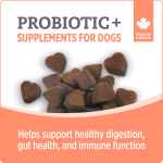 Picture of NUTRIENCE CARE SUPPLEMENT FOR DOGS PROBIOTIC - 100s