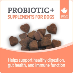 Picture of NUTRIENCE CARE SUPPLEMENT FOR DOGS PROBIOTIC - 100s
