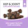 Picture of NUTRIENCE CARE SUPPLEMENT FOR DOGS HIP & JOINT - 100s