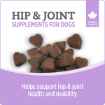 Picture of NUTRIENCE CARE SUPPLEMENT FOR DOGS HIP & JOINT - 100s
