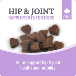 Picture of NUTRIENCE CARE SUPPLEMENT FOR DOGS HIP & JOINT - 100s
