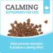 Picture of NUTRIENCE CARE SUPPLEMENT FOR CATS CALMING - 100s