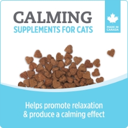Picture of NUTRIENCE CARE SUPPLEMENT FOR CATS CALMING - 100s