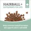 Picture of NUTRIENCE CARE SUPPLEMENT FOR CATS HAIRBALL - 100s