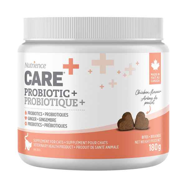 Picture of NUTRIENCE CARE SUPPLEMENT FOR CATS PROBIOTIC - 100s