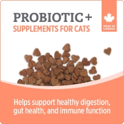 Picture of NUTRIENCE CARE SUPPLEMENT FOR CATS PROBIOTIC - 100s