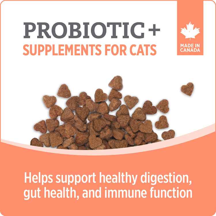 Picture of NUTRIENCE CARE SUPPLEMENT FOR CATS PROBIOTIC - 100s