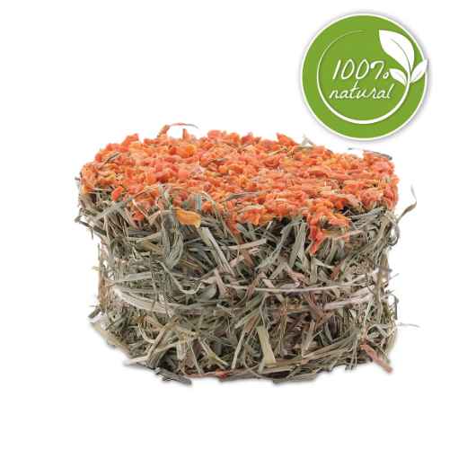 Picture of LIVING WORLD GREEN BOTANICALS HAY CAKE with Carrots - 2.6oz/75g