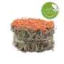 Picture of LIVING WORLD GREEN BOTANICALS HAY CAKE with Carrots - 2.6oz/75g