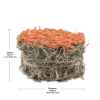 Picture of LIVING WORLD GREEN BOTANICALS HAY CAKE with Carrots - 2.6oz/75g