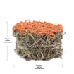 Picture of LIVING WORLD GREEN BOTANICALS HAY CAKE Carrot - 75g