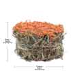 Picture of LIVING WORLD GREEN BOTANICALS HAY CAKE with Carrots - 2.6oz/75g