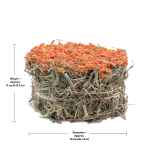 Picture of LIVING WORLD GREEN BOTANICALS HAY CAKE with Carrots - 2.6oz/75g