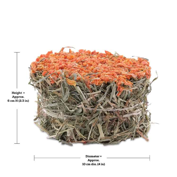 Picture of LIVING WORLD GREEN BOTANICALS HAY CAKE with Carrots - 2.6oz/75g