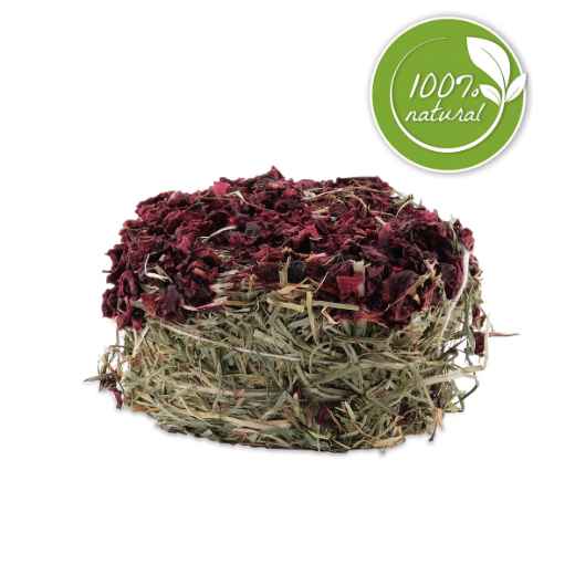 Picture of LIVING WORLD GREEN BOTANICALS HAY CAKE with Beets - 2.6oz/75g