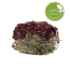 Picture of LIVING WORLD GREEN BOTANICALS HAY CAKE with Beets - 2.6oz/75g