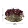 Picture of LIVING WORLD GREEN BOTANICALS HAY CAKE with Beets - 2.6oz/75g