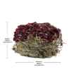 Picture of LIVING WORLD GREEN BOTANICALS HAY CAKE Beet - 75g