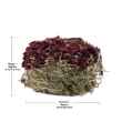 Picture of LIVING WORLD GREEN BOTANICALS HAY CAKE with Beets - 2.6oz/75g
