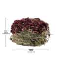 Picture of LIVING WORLD GREEN BOTANICALS HAY CAKE with Beets - 2.6oz/75g