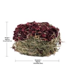 Picture of LIVING WORLD GREEN BOTANICALS HAY CAKE Beet - 75g