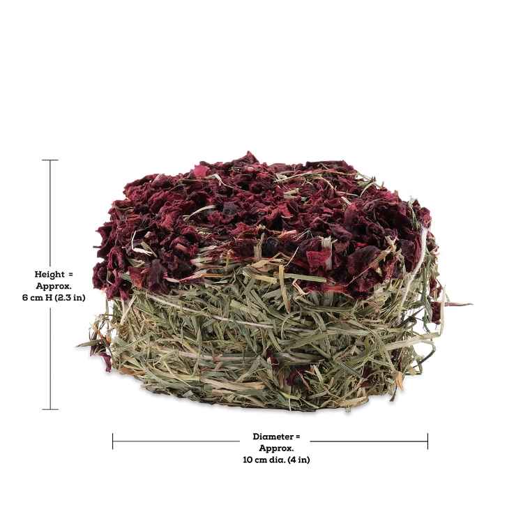 Picture of LIVING WORLD GREEN BOTANICALS HAY CAKE with Beets - 2.6oz/75g