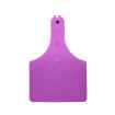 Picture of ALLFLEX  A-TAG COW V2 one piece PURPLE BLANK - 25/bag