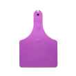 Picture of ALLFLEX  A-TAG COW V2 one piece PURPLE BLANK - 25/bag