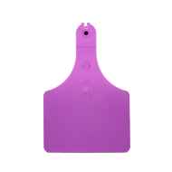 Picture of ALLFLEX  A-TAG COW V2 one piece PURPLE BLANK - 25/bag