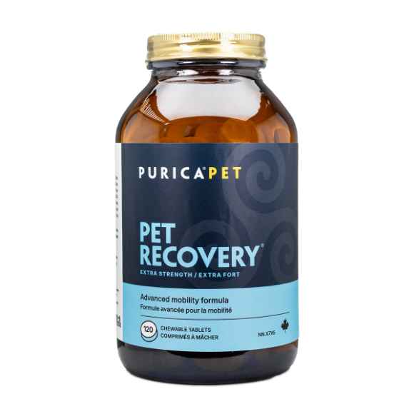 Picture of PET RECOVERY XSTRENGTH CHEW TABS - 120's