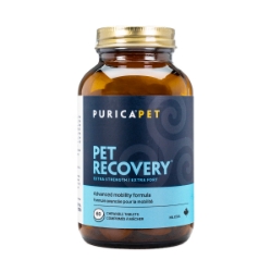 Picture of PET RECOVERY XSTRENGTH CHEW TABS - 60's