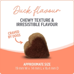 Picture of NUTRIENCE CARE SUPPLEMENT FOR DOGS PROBIOTIC - 100s