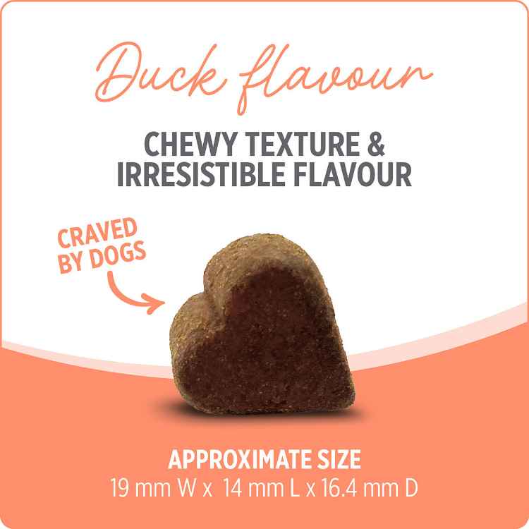 Picture of NUTRIENCE CARE SUPPLEMENT FOR DOGS PROBIOTIC - 100s