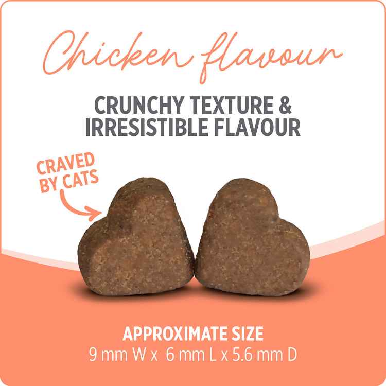 Picture of NUTRIENCE CARE SUPPLEMENT FOR CATS PROBIOTIC - 100s