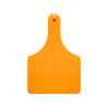 Picture of ALLFLEX  A-TAG COW V2 one piece ORANGE BLANK - 25/bag