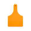 Picture of ALLFLEX  A-TAG COW V2 one piece ORANGE BLANK - 25/bag