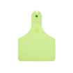 Picture of ALLFLEX  A-TAG CALF V2 one piece GREEN BLANK - 25/bag