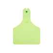 Picture of ALLFLEX  A-TAG CALF V2 one piece GREEN BLANK - 25/bag