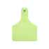 Picture of ALLFLEX  A-TAG CALF V2 one piece GREEN BLANK - 25/bag