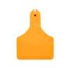 Picture of ALLFLEX  A-TAG CALF V2 one piece ORANGE BLANK - 25/bag