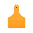 Picture of ALLFLEX  A-TAG CALF V2 one piece ORANGE BLANK - 25/bag