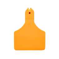 Picture of ALLFLEX  A-TAG CALF V2 one piece ORANGE BLANK - 25/bag