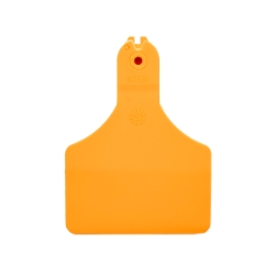 Picture of ALLFLEX  A-TAG CALF one piece ORANGE BLANK - 25/bag