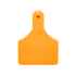 Picture of ALLFLEX  A-TAG CALF V2 one piece ORANGE BLANK - 25/bag