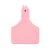 Picture of ALLFLEX  A-TAG CALF V2 one piece PINK BLANK - 25/bag