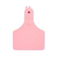 Picture of ALLFLEX  A-TAG CALF V2 one piece PINK BLANK - 25/bag