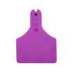 Picture of ALLFLEX  A-TAG CALF V2 one piece PURPLE BLANK - 25/bag